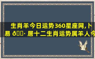 生肖羊今日运势360星座网,卜易 🌷 居十二生肖运势属羊人今日运势